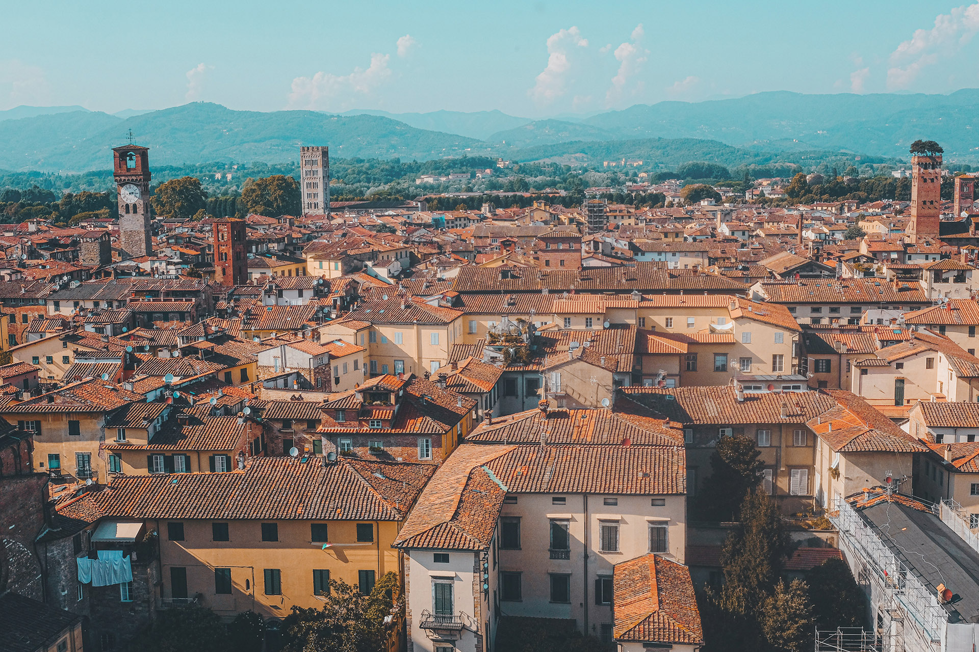 cristina-gottardi-qtDcsx4t5H4-unsplash